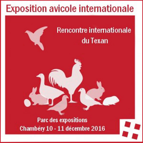 Exposition avicole internationale à Chambéry (73), du samedi 10 au dimanche 11 décembre 2016