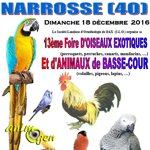 13 ème Foire d’oiseaux exotiques et d’animaux de basse-cour à Narrosse (40), le dimanche 18 décembre 2016