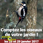 Comptage régional des oiseaux des jardins en Bretagne, du samedi 28 au dimanche 29 janvier 2017