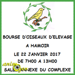 Bourse d'oiseaux d'élevage à Hamoir (Belgique), le dimanche 22 janvier 2017