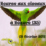 23 ème Bourse aux oiseaux exotiques à Beaucé (35), le dimanche 05 février 2017