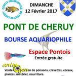 Bourse aux poissons à Pont de Cheruy (38), le dimanche 12 février 2017