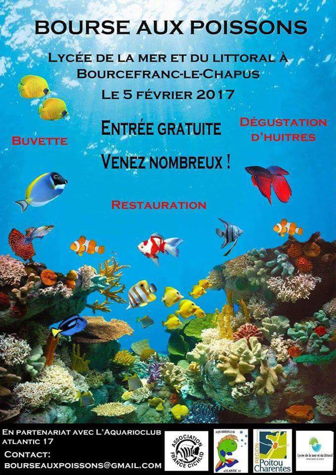 Bourse aux poissons à Bourcefranc le Chapus (17), le dimanche 05 février 2017
