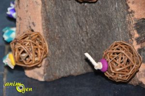 Test : le Cork Sheet, un jouet fabuleux pour nos perroquets