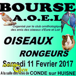 Bourse aux oiseaux et rongeurs à Condé sur Huisne (61), le samedi 11 février 2017