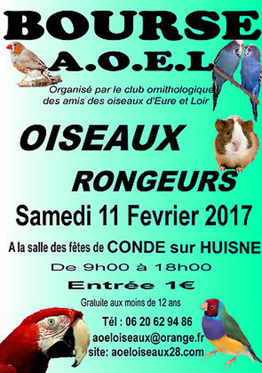 Bourse aux oiseaux et rongeurs à Condé sur Huisne (61), le samedi 11 février 2017