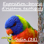Exposition-bourse d’oiseaux exotiques à Culin (38), du samedi 04 au dimanche 05 mars 2017