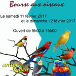 Bourse d’oiseaux à Saint Hubert (Belgique), du samedi 11 au dimanche 12 février 2017