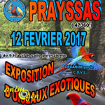 9 ème Exposition-Bourse d’oiseaux exotiques à Prayssas (47), le dimanche 12 février 2017