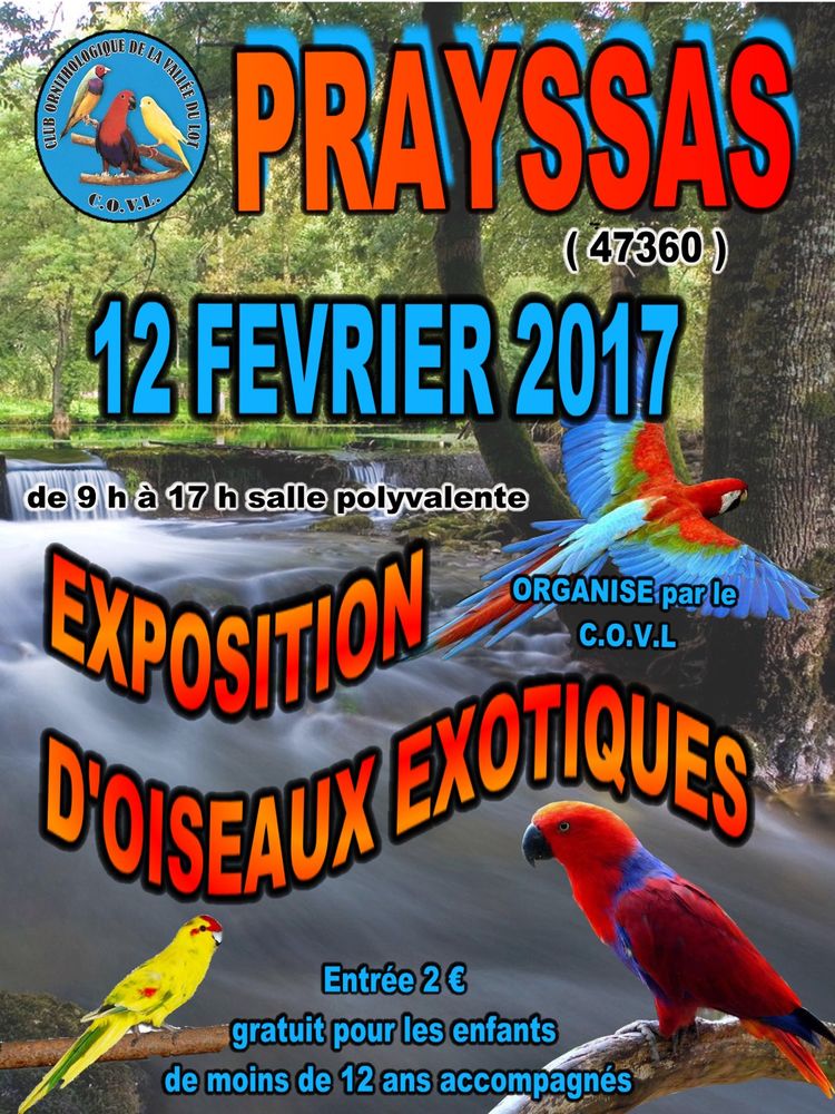 9 ème Exposition-Bourse d’oiseaux exotiques à Prayssas (47), le dimanche 12 février 2017