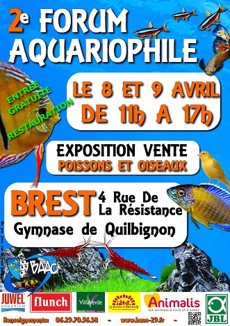 2 ème Forum aquariophile à Brest (29), du samedi 08 au dimanche 09 avril 2017