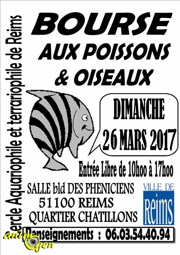 69 ème Bourse aux poissons, plantes et oiseaux à Reims (51), le dimanche 26 mars 2017