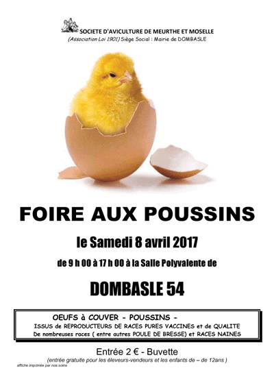 Foire aux poussins à Dombasle (54), le samedi 09 avril 2017