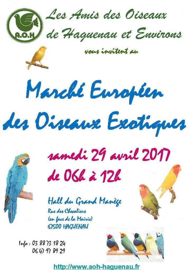 Marché européen des oiseaux à Haguenau (67), le samedi 29 avril 2017