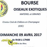 Bourse oiseaux exotiques à Sarry (51), le dimanche 09 avril 2017