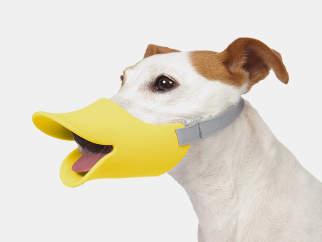 Clouez le bec à vos chiens avec le Quack Muzzle d’Oppo