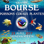 Bourse aux Poissons, Coraux, Plantes à Sundhoffen (), le dimanche 23 avril 2017
