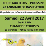 Bourse aux œufs et poussins de races pures à Paray le Monial (71), le samedi 22 avril 2017
