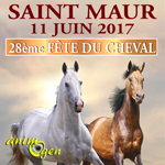 28 ème Fête du cheval à Saint Maur (36), le dimanche 11 juin 2017
