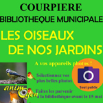 Expo photos les oiseaux de nos jardins à Courpière (63), du 02 au 30 juin 2017