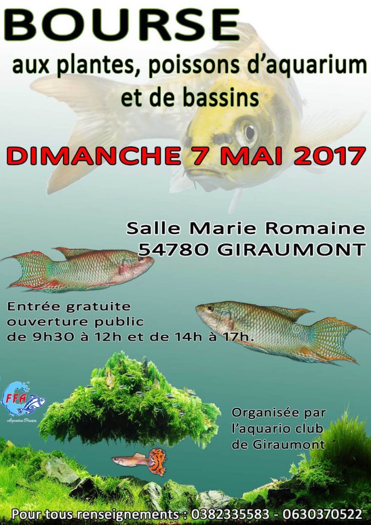 Bourse aux plantes, poissons d'aquarium et de bassin à Giraumont (54), le dimanche 07 mai 2017