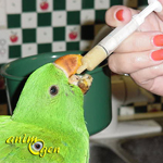 Alimentation et sevrage : comment nourrir à la main un perroquet non sevré ? (1ère partie)