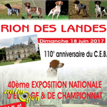 40 ème Exposition Nationale d'élevage et de Championnat à Rion des Landes (40), le dimanche 18 juin 2017
