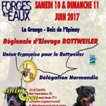 Régionale d'élevage Rottweiler à Forges les Eaux (76), du samedi 10 au dimanche 11 juin 2017