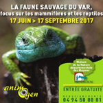 Exposition "La Faune Sauvage du Var" aux Mayons (83), du 17 juin au 17 septembre 2017