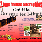 2 ème Bourse aux reptiles à Brassac les Mines (63), du samedi 10 au dimanche 11 juin 2017