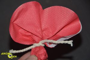 Saint Valentin : des orchidées à fabriquer pour vos perroquets (tutoriel, test, avis, prix)