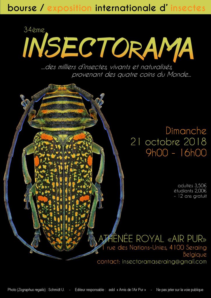 34 ème Bourse Internationale d’Entomologie «Insectorama» à Seraing (Belgique), le dimanche 21 octobre 2018